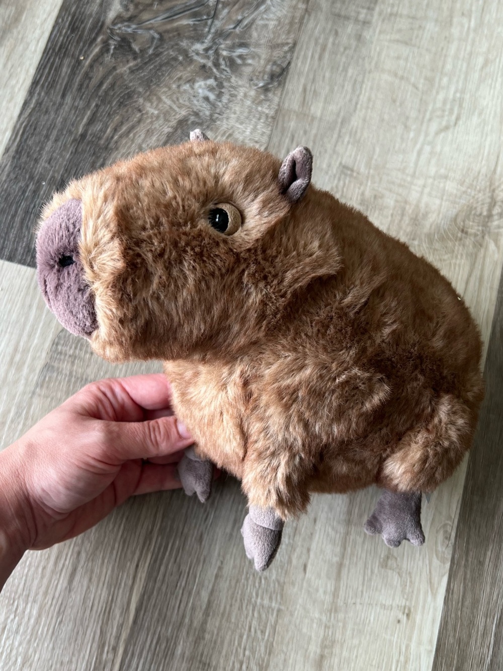 Jellycat Clyde Capybara - Picture 4 of 11